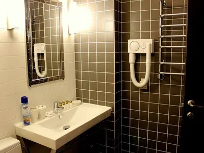 Гостиница Hotel&SPA Лафер Ренессанс 4 Сергиев Посад Номер эконом-5