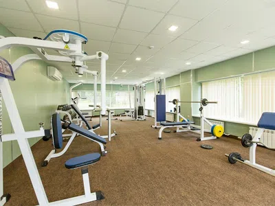 Гостиница Hotel&SPA Лафер Ренессанс 4 Сергиев Посад Люкс-4