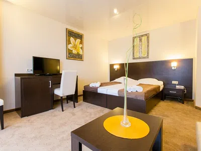 Гостиница Hotel&SPA Лафер Ренессанс 4 Сергиев Посад Стандарт-1