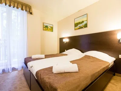Гостиница Hotel&SPA Лафер Ренессанс 4 Сергиев Посад Номер эконом-1
