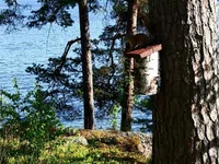 Отель Club House Hotelli Kaipolan Ranta Йямся-1
